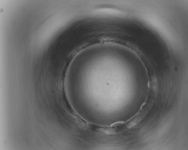 X0000063530763200601271901