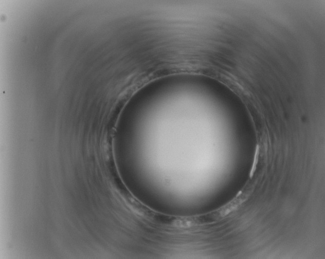 X0000063530764200601271901