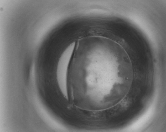 X0000063530765200601271901