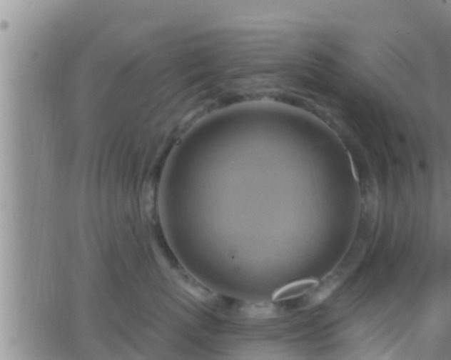 X0000063530767200601271901