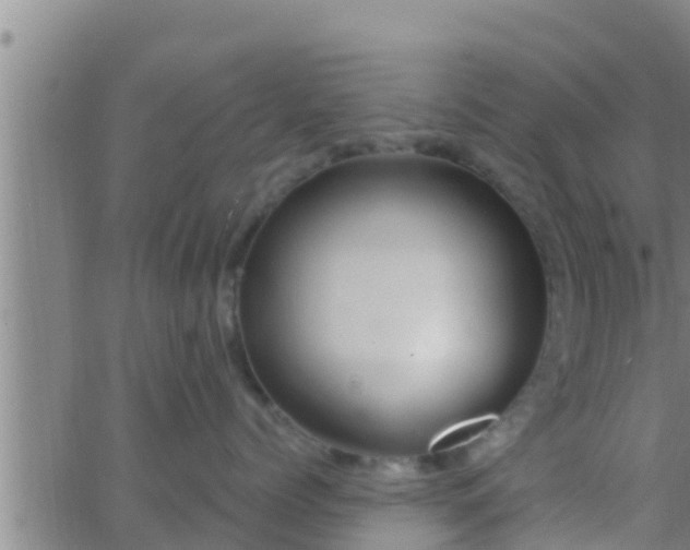 X0000063530768200601271901