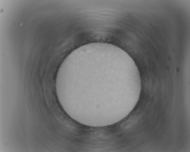 X0000063530769200601271900