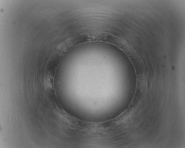 X0000063530770200601271900