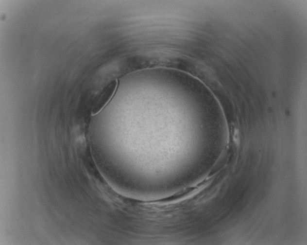 X0000063530771200601271900