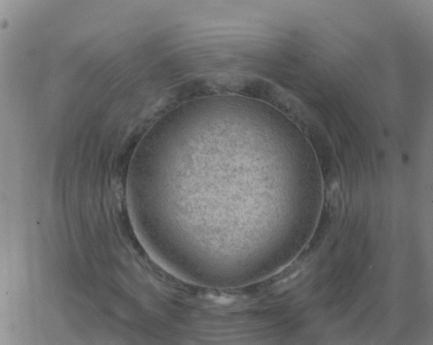 X0000063530772200601271900