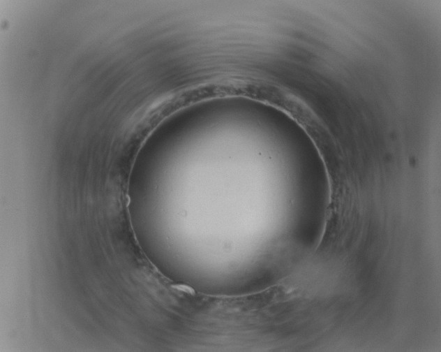 X0000063530773200601271900