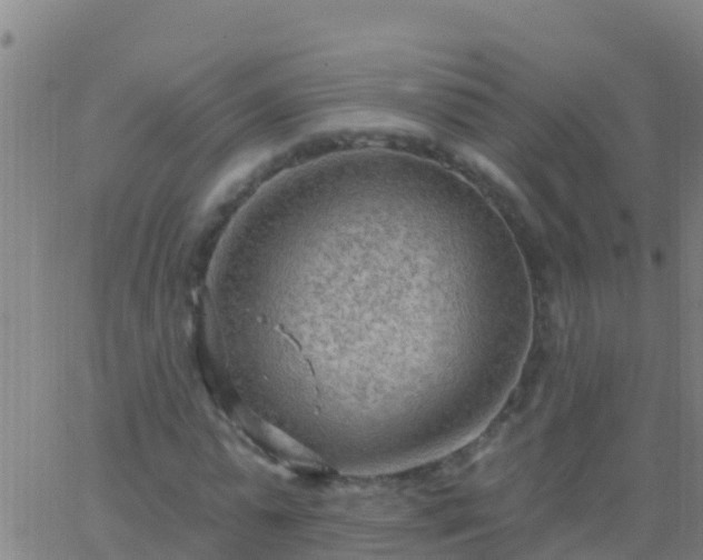 X0000063530775200601271900