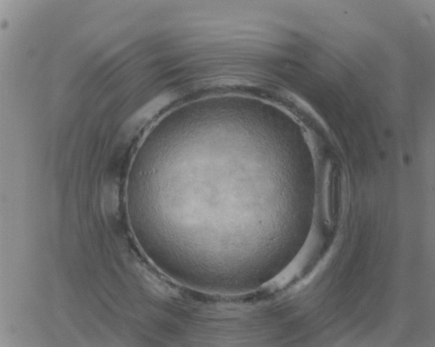 X0000063530777200601271900