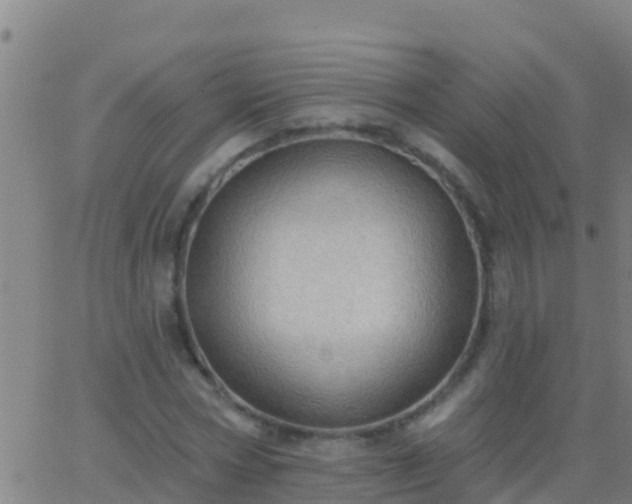 X0000063530778200601271900