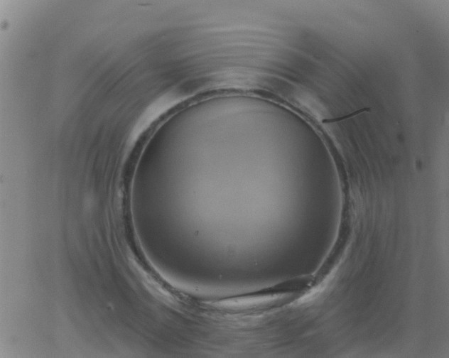 X0000063530779200601271900