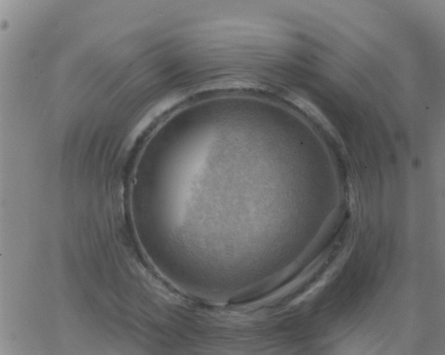 X0000063530781200601271900