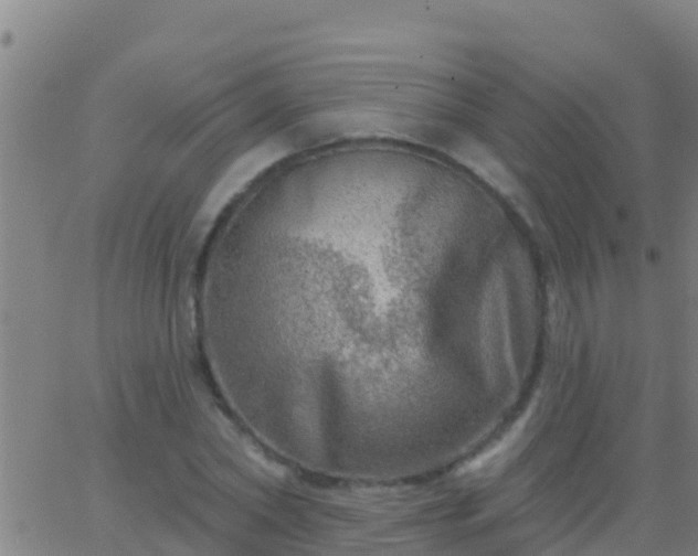 X0000063530782200601271900