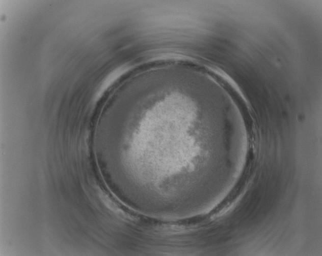 X0000063530783200601271900