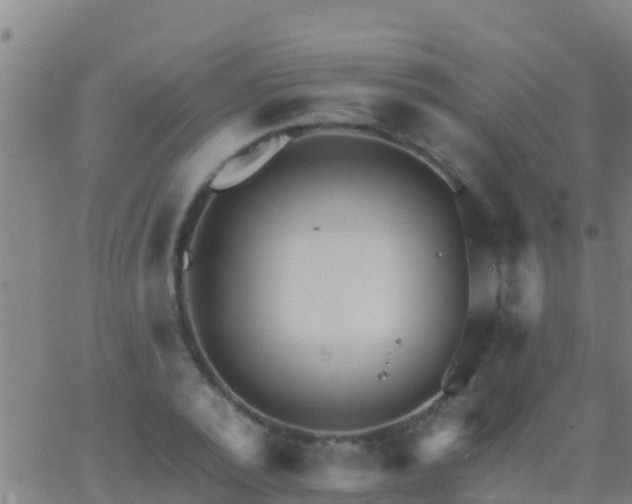 X0000063530784200601271900