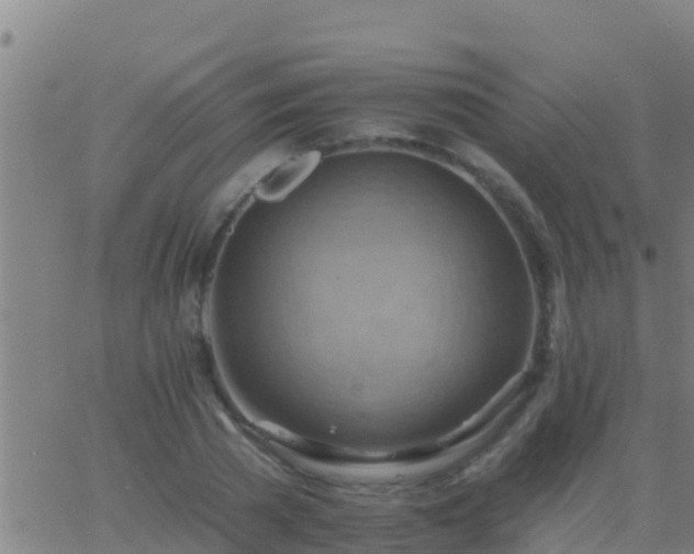 X0000063530785200601271900