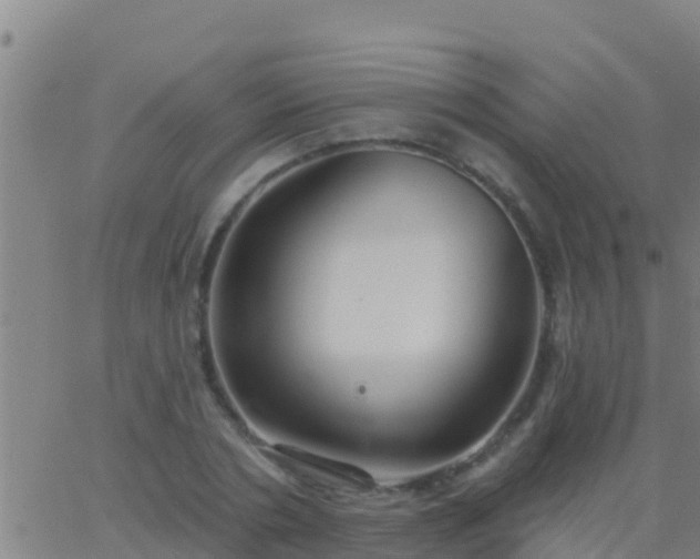 X0000063530786200601271900