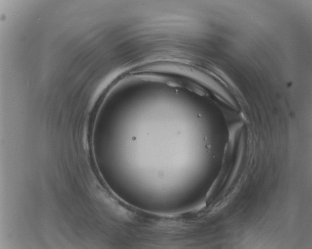 X0000063530788200601271900