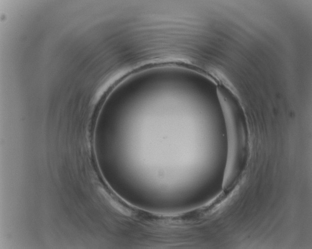 X0000063530789200601271900