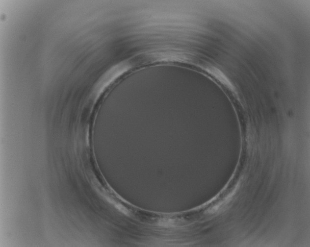 X0000063530790200601271900