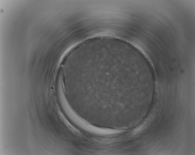 X0000063530791200601271900