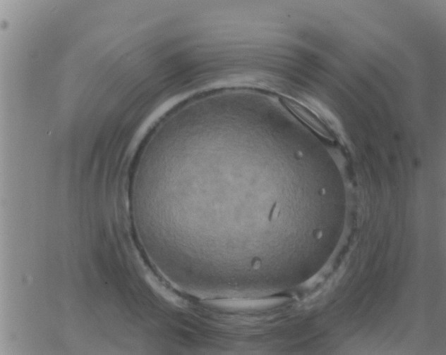 X0000063530792200601271900