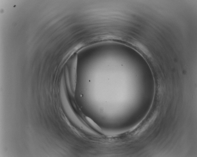 X0000063530793200601271900