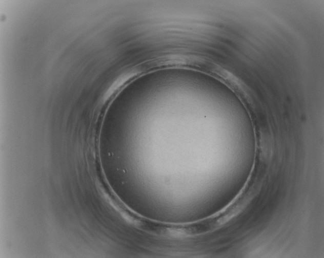 X0000063530794200601271900