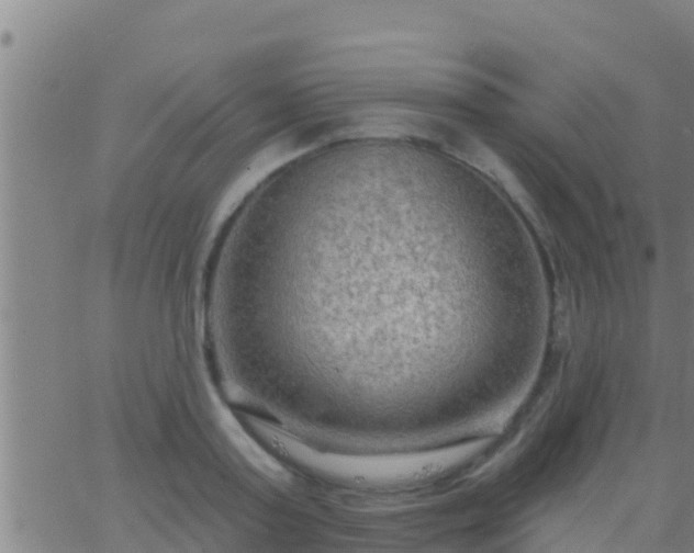 X0000063530795200601271900