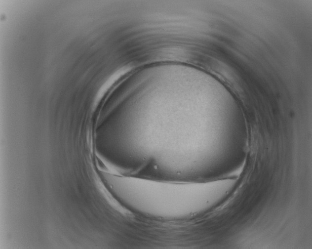 X0000063530796200601271900