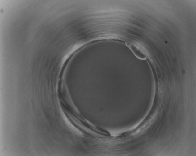 X0000063530797200601271900