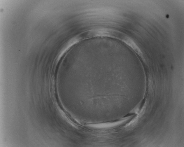 X0000063530798200601271900