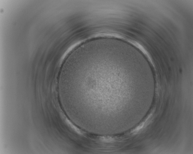 X0000063530799200601271900