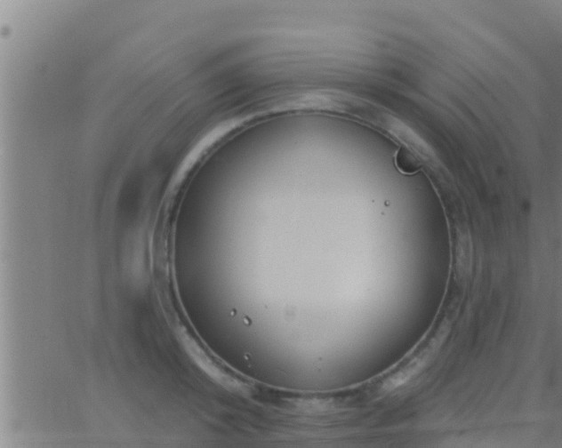 X0000063530800200601271859