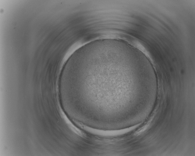 X0000063530803200601271859