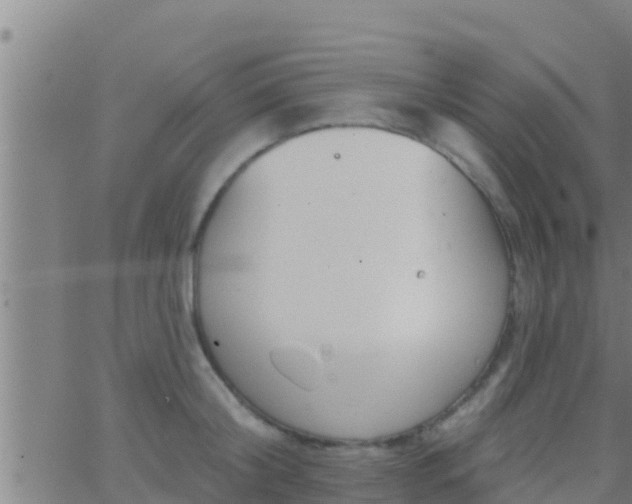 X0000063530804200601271859