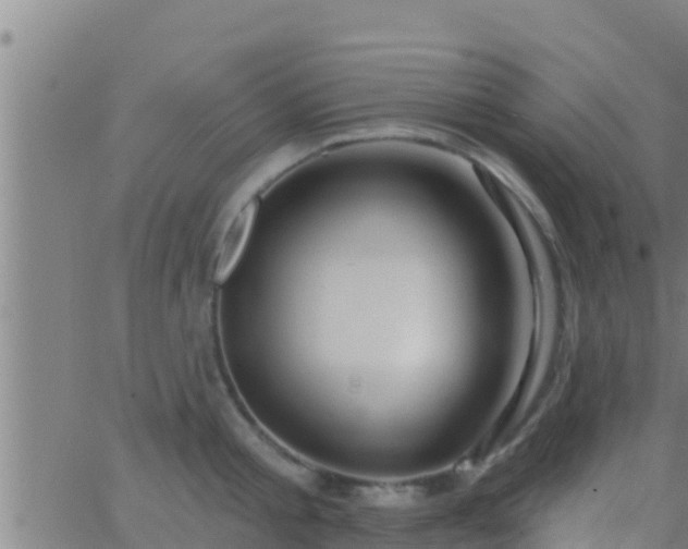 X0000063530805200601271859