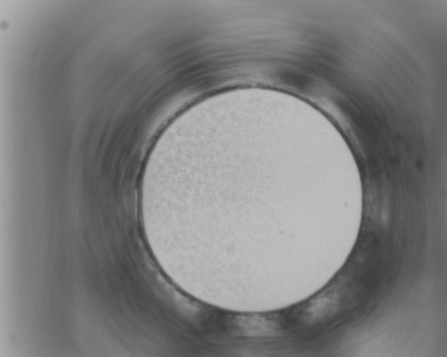 X0000063530807200601271859