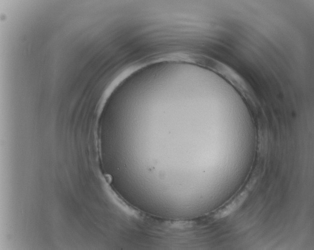 X0000063530808200601271859