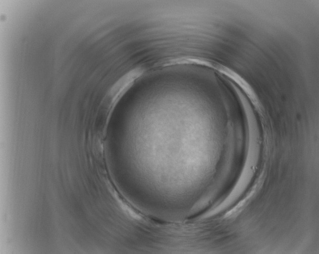 X0000063530809200601271859