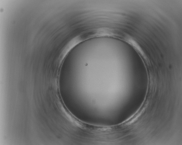 X0000063530810200601271859