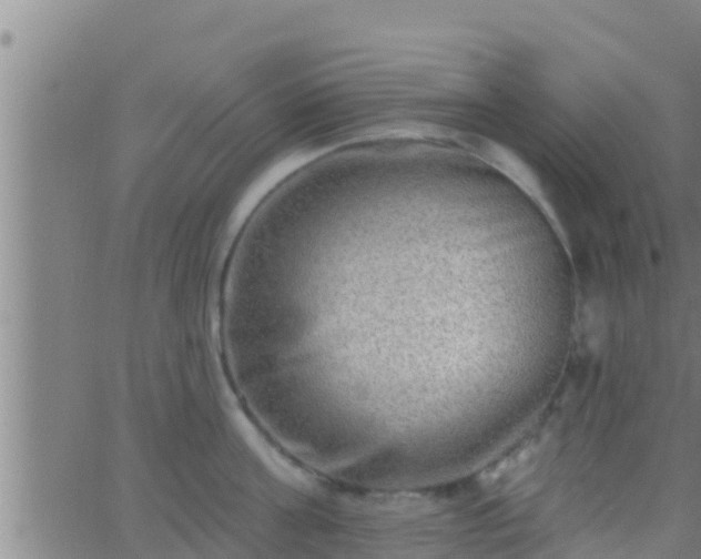 X0000063530811200601271859