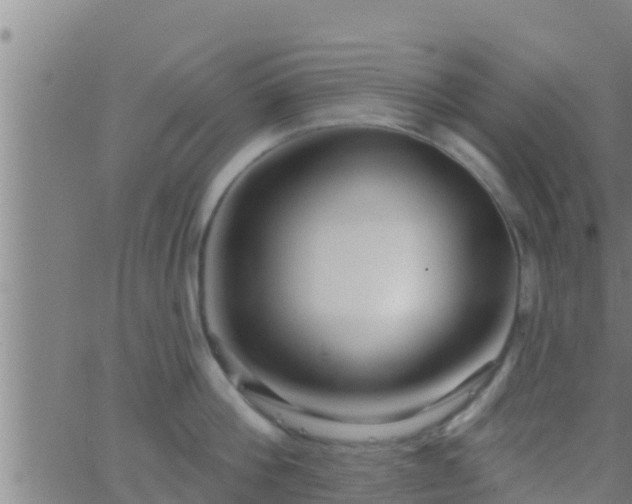 X0000063530812200601271859