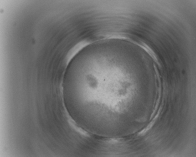 X0000063530814200601271859