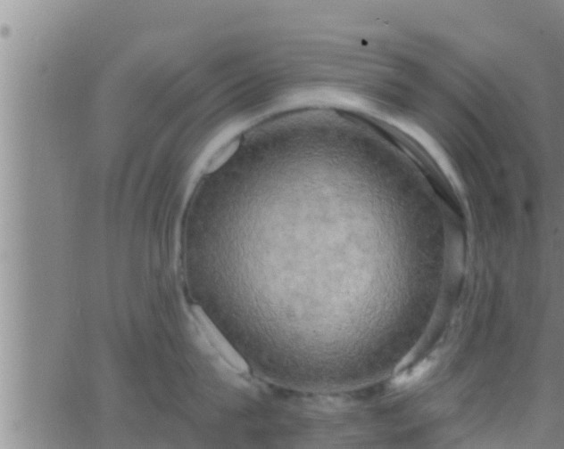 X0000063530815200601271859