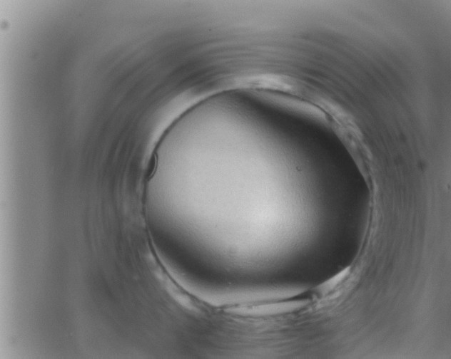 X0000063530816200601271859