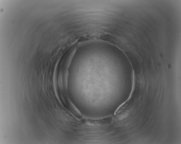 X0000063530818200601271858