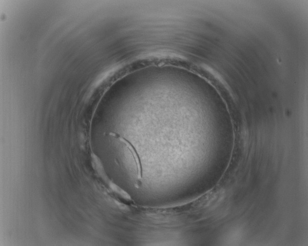 X0000063530823200601271859