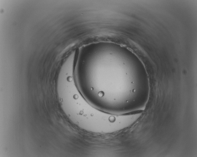 X0000063530824200601271859