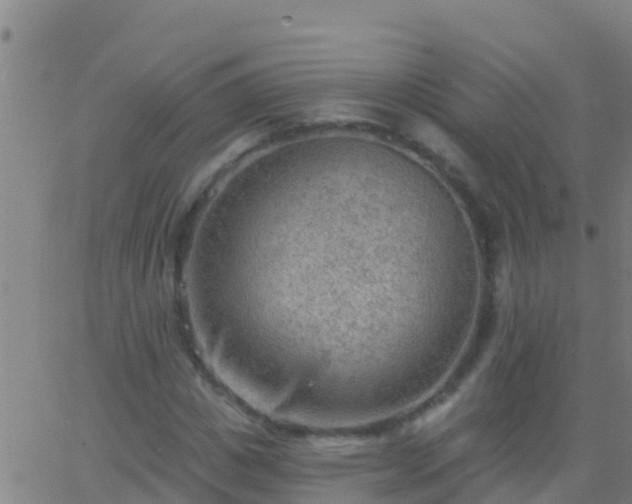 X0000063530825200601271859