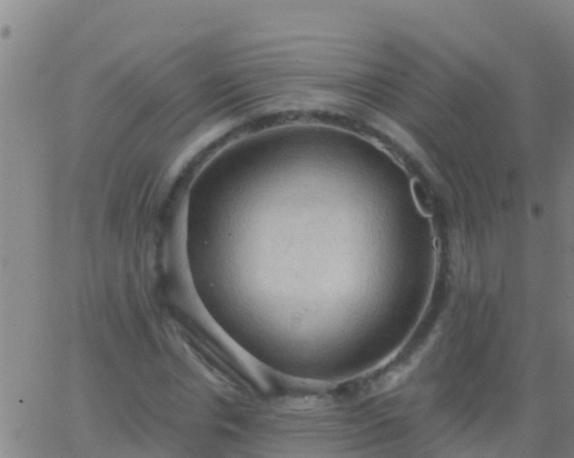 X0000063530826200601271859